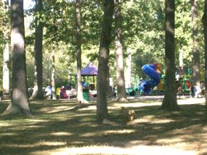 Mohawk Park Brantford Virtual Tour
